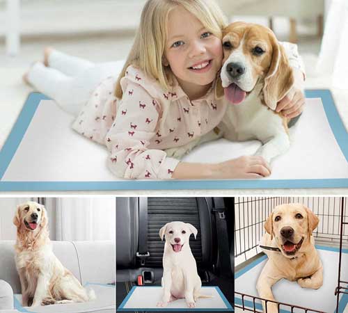 higienske vpojne blazinice za pse